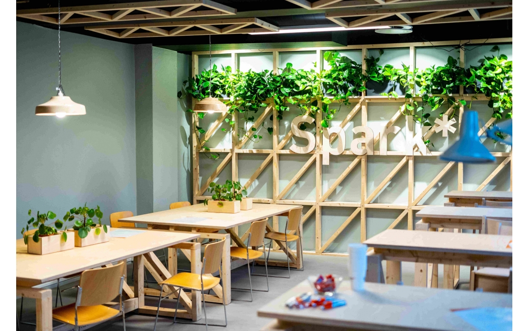 Stedlig leder for Spark* NTNU Ålesund